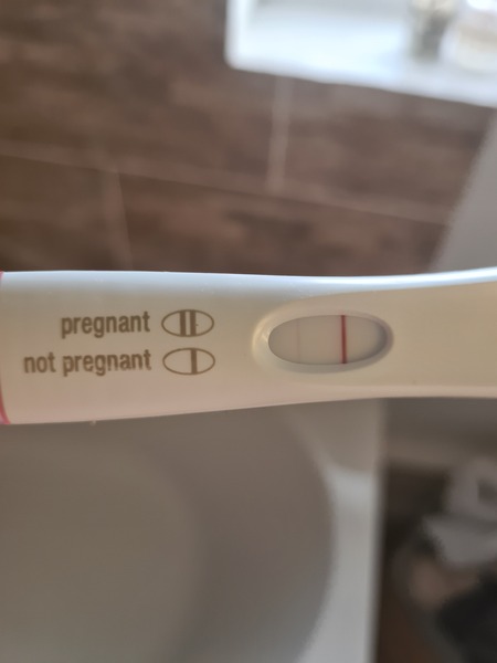 🦕 Catching up - ttc after miscarriage part 5 🦕