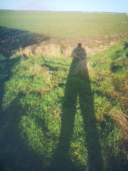 To just ask you all to either wear some proper wellies and walk on the footpath, or stick to the sodding pavements