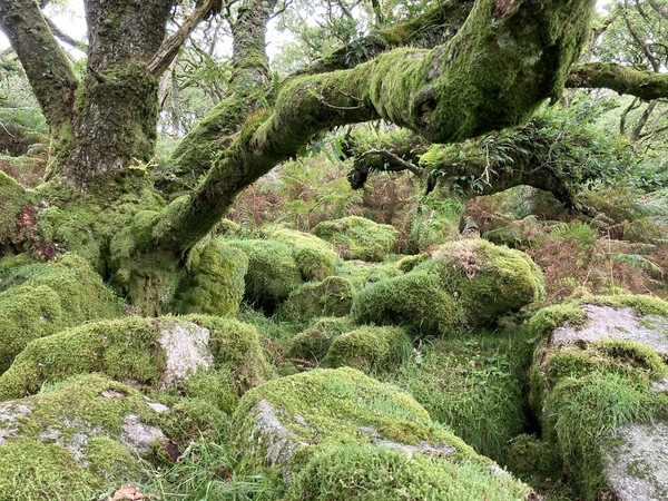 Any Witches here? Part 13