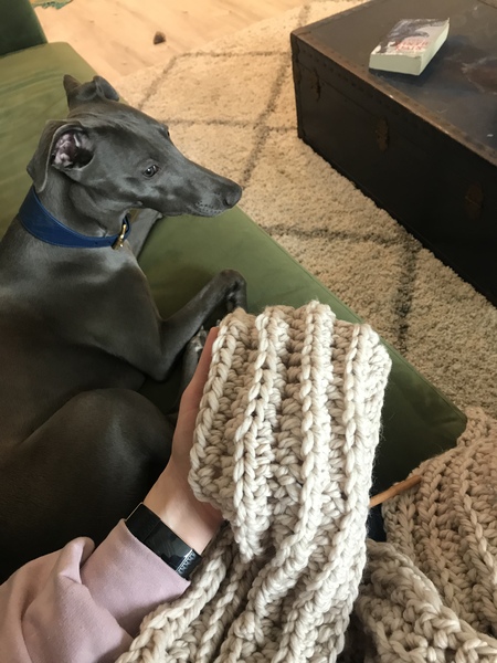 Happy Christmas Bootcampers!