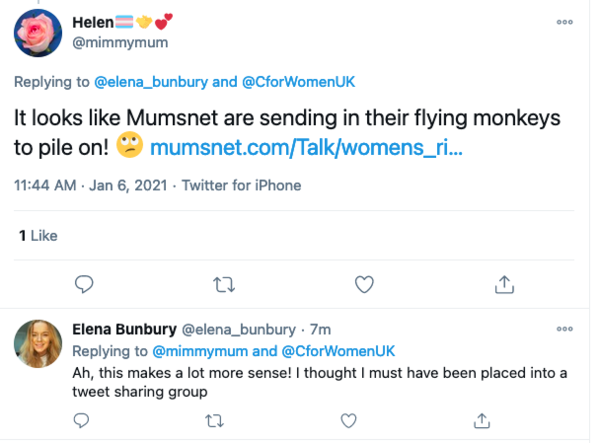 Official Conservative LGBT group attacking women again