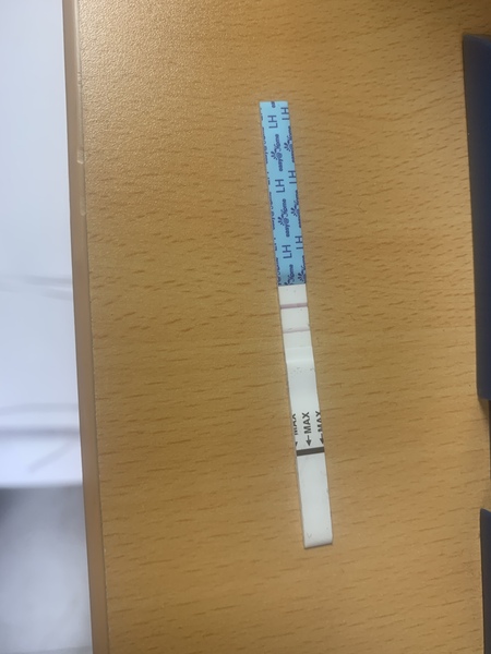 Ovulation stick first time! Help