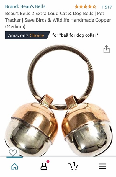 Moral question, sort of...