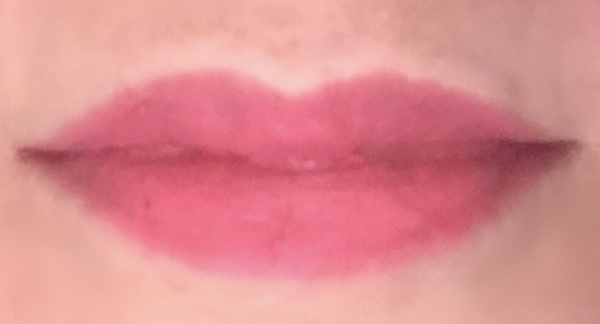 Lipstick Challenge - a different lipstick each day of Jan!