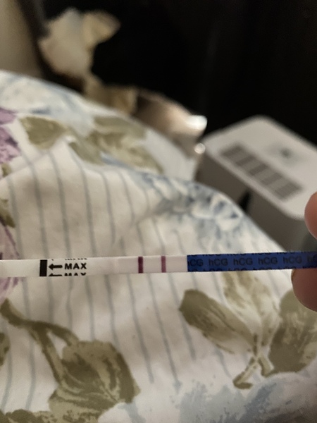 Blood clot or miscarriage? **MNHQ graphic pic warning**