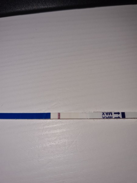 "Feeling pregnant"