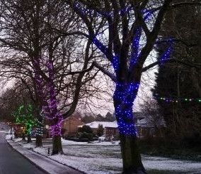 To think... take your Christmas decorations down?