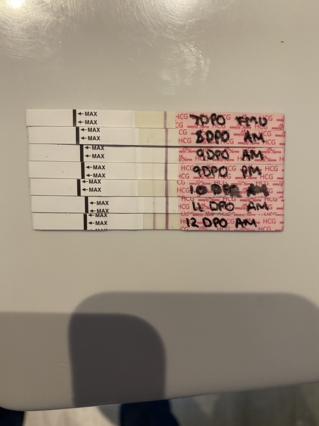 TTC after MC - Dec/Jan 2020 (Thread 16)