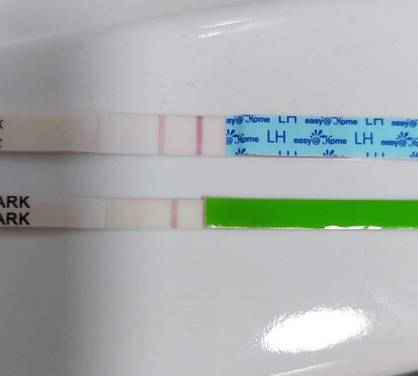 2 different opks 2 different results