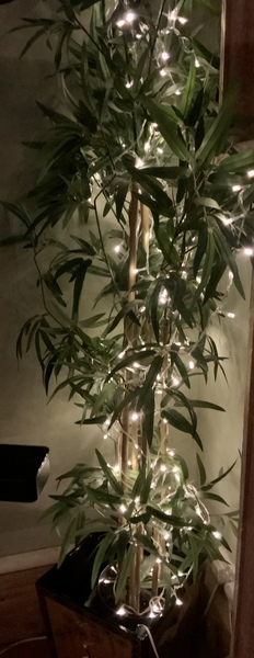 Something sparkly to replace my tree