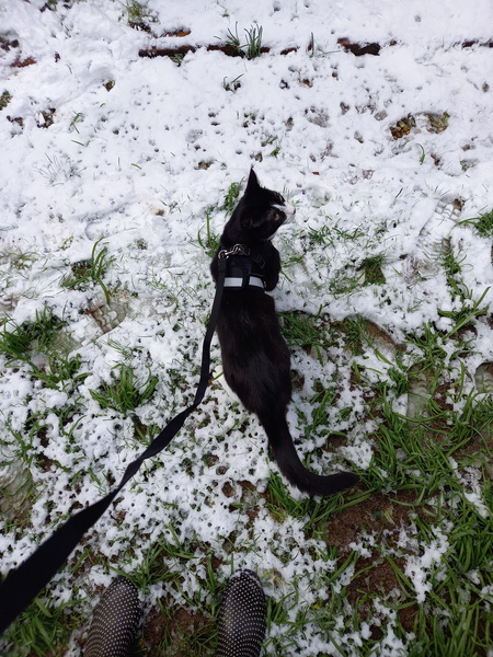 Snow day
