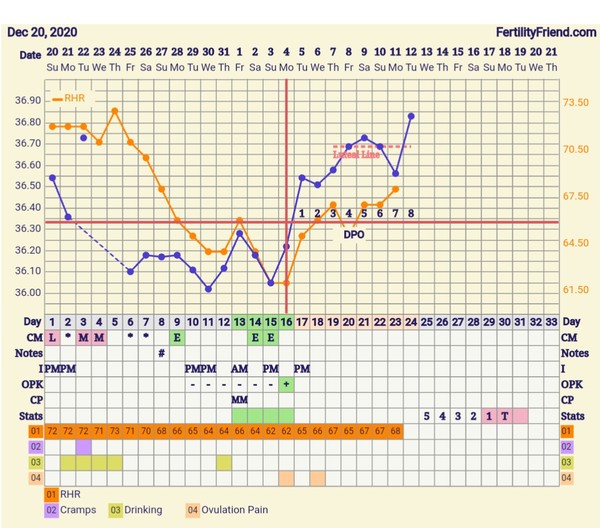 Tracking your cycle and possible BFP using RHR - part 5