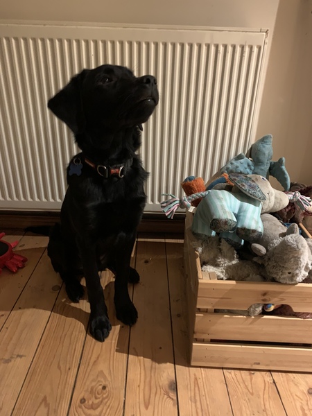 Knit, Crochet and Natter into 2021