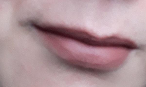 Lipstick Challenge - a different lipstick each day of Jan!