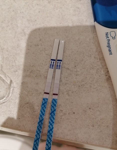 Positive cheapies but negative clear blues... So confused!