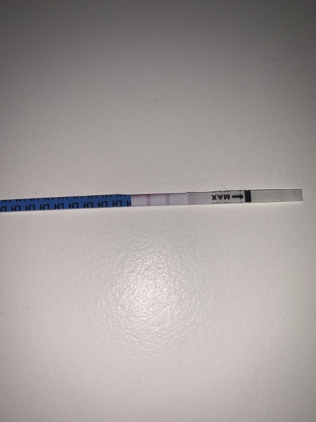 Yogurt pot yuppies, sexy basters and UFO discs - part 3