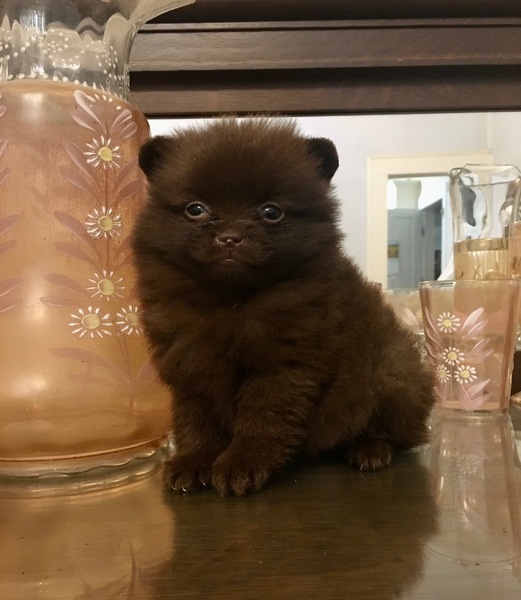 Want to order nice treat things to cheer us up during lockdown - any ideas?