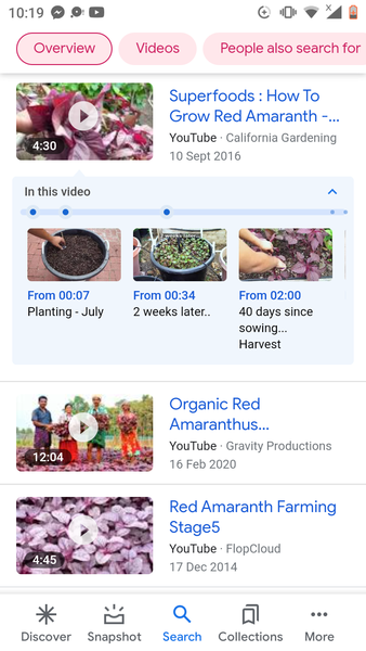 Where can I order  a small amount of soil ?