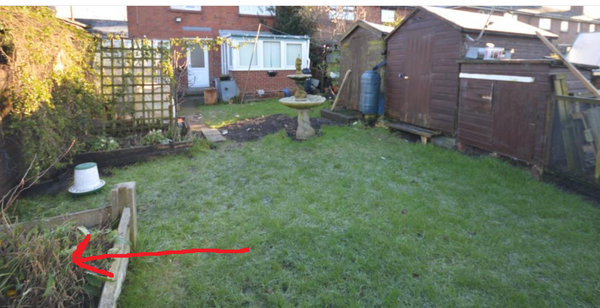 Surprise in your rose garden - Rightmove