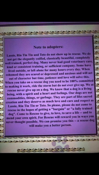 Rescue dog unhappy in new home