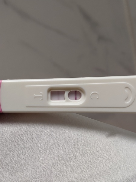 Ovulation due 27th January / Period due 10th February