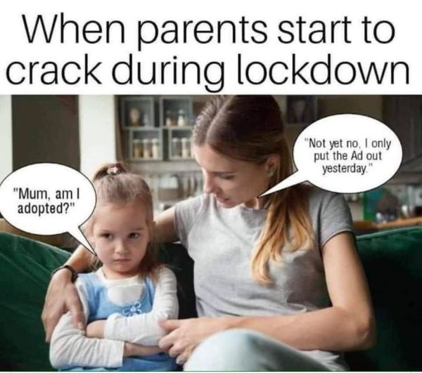 Covid/ lockdown (or any!) memes and jokes