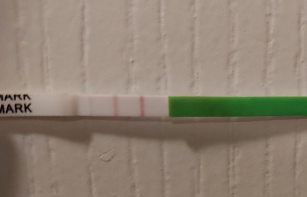 Is this opk positive?
