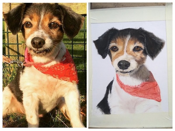 Art Prints vs Original Drawing - Pricing