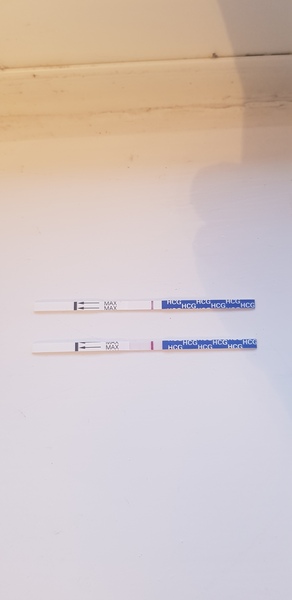 When did I ovulate? (FF chart)