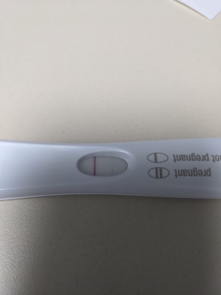 4DPO