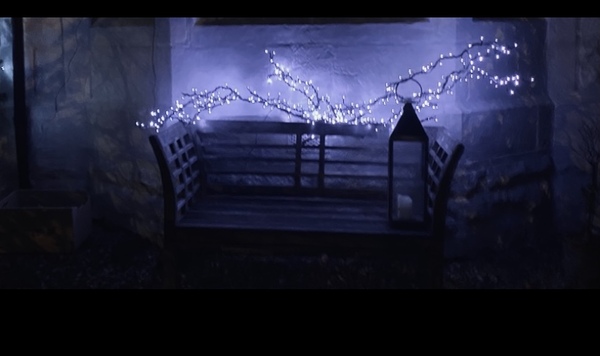 Something sparkly to replace my tree