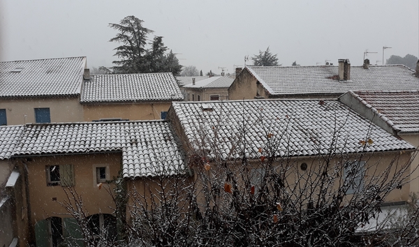 Westministenders: Where's my milk and cheese?