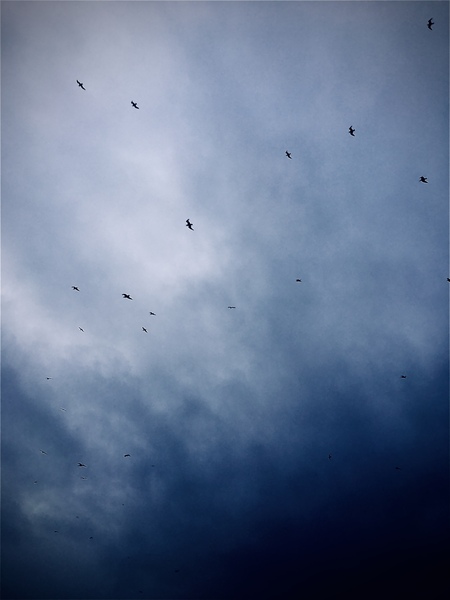 Any Witches here? Part 13