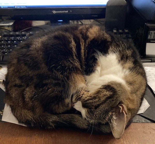 If you WFH, what's on your desk?
