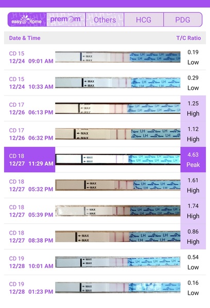 Is this opk positive?