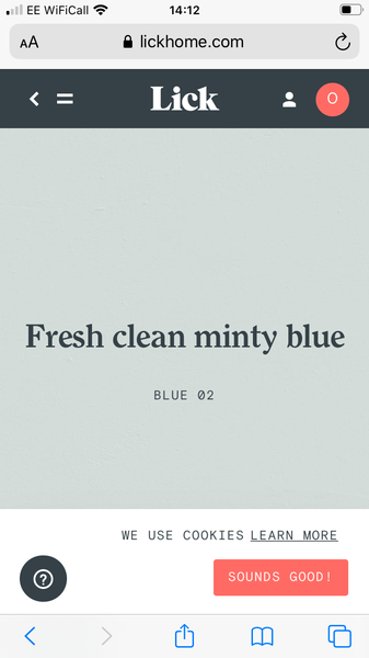 Bathroom eco paint
