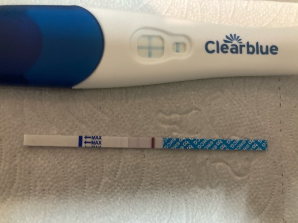 🐧 Penguin Huddle 🐧 Thread 36 - TTC after pregnancy loss