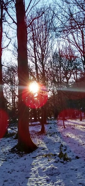 Any Witches here? Part 13