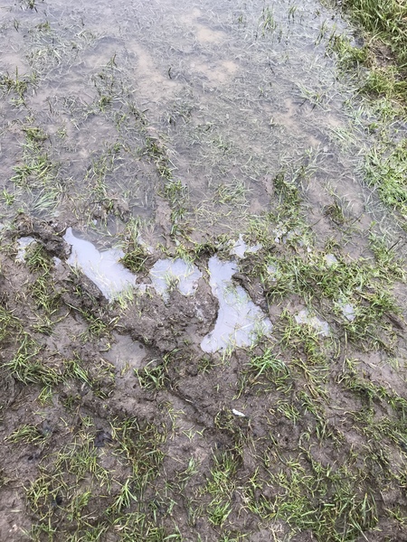Running Thread 16