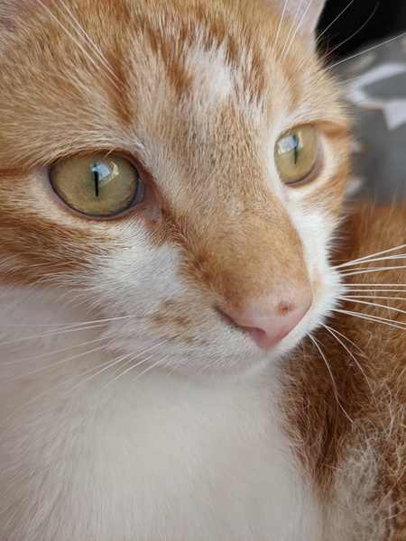 Dot on nose? (With picture)