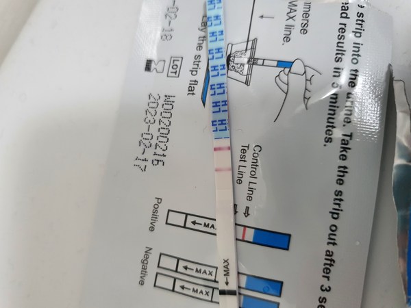 Almost- positive OPK then negatives straight after? (Pics) short surge or didn't ovulate?