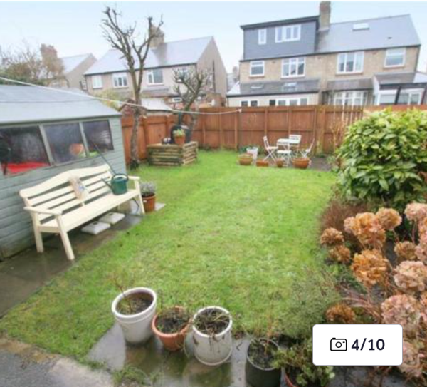 Overlooked garden - ideas for improvement?