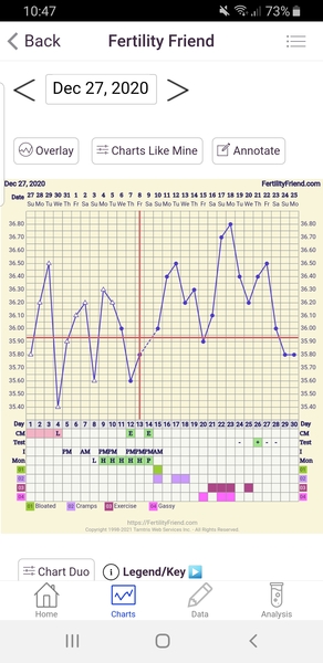 When did I ovulate? (FF chart)
