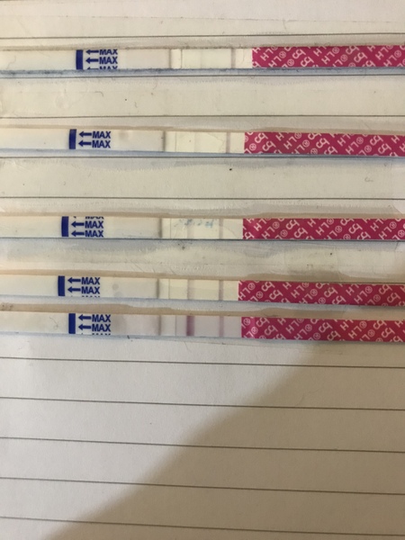 Tracking your cycle and possible BFP using RHR - part 5