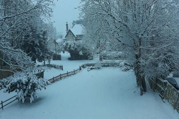 Will Amazon delivery’s take place with the snow