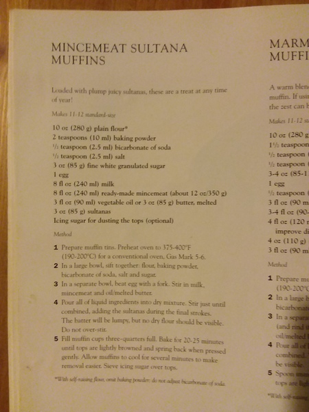 Mincemeat in cupboard - suggestions please
