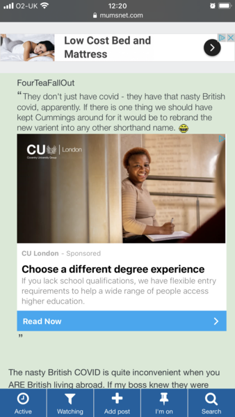 Ads within user posts