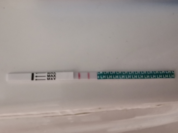 Anyone else first month ttc?