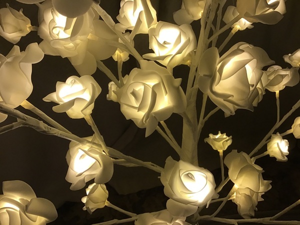 Something sparkly to replace my tree