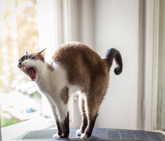 Experiences after a failed epidural?